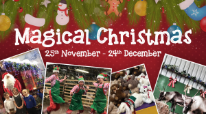 Screen Shot 2016-11-09 at 19.01.35