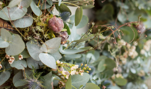 Screen Shot 2016-11-11 at 12.23.33