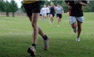 screen-shot-2016-12-30-at-10-41-44