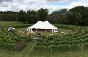 screen-shot-2017-02-02-at-19-41-00