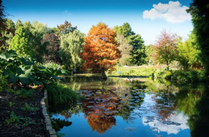 screen-shot-2017-02-09-at-21-01-33