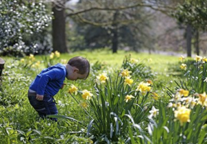 screen-shot-2017-02-09-at-21-12-00