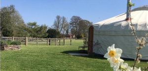 screen-shot-2017-05-18-at-12-11-39