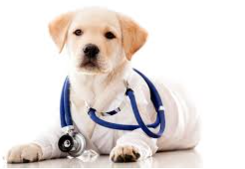 screen-shot-2017-06-16-at-12-28-19