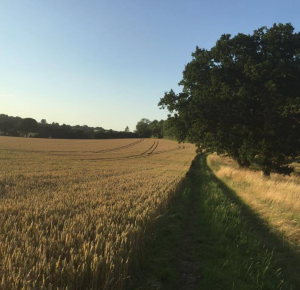 screen-shot-2017-06-29-at-21-16-42