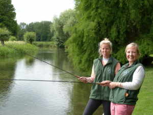 screen-shot-2017-07-05-at-09-43-40