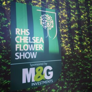 assess-the-bare-bones-of-your-garden-in-winter_-rhs-chelsea