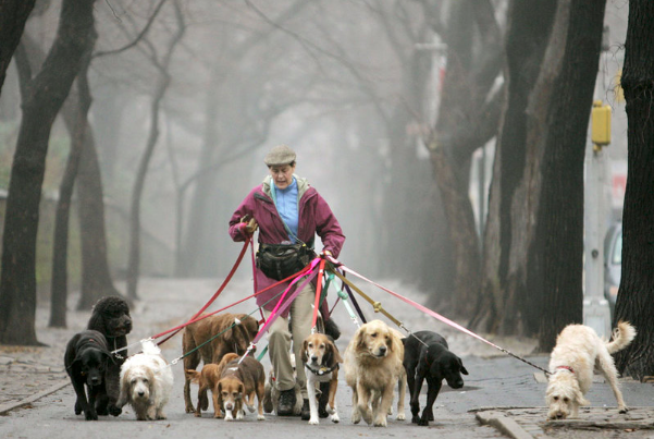 screen-shot-2019-10-04-at-16-33-55