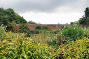img_20220903_113502