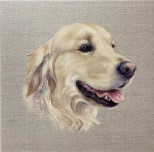 golden-retriever-portrait