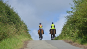 screenshot-2023-05-16-at-17-10-29